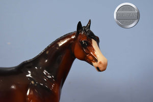DAH ISH-Banded Mane-Glossy-ISH-Peter Stone
