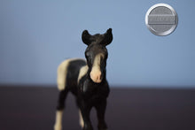 Load image into Gallery viewer, Black Pinto Mustang Foal-Breyer Classic