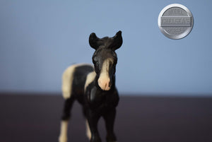 Black Pinto Mustang Foal-Breyer Classic