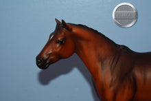 Load image into Gallery viewer, Quarter Horse-Swish Tail Version-Lady Phase Mold-Breyer Traditional