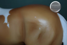 Load image into Gallery viewer, Palomino Paint Lady Phase-Short Tail Version-Lady Phase Mold-Breyer Traditional