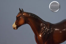 Load image into Gallery viewer, DAH ISH-Banded Mane-Glossy-ISH-Peter Stone