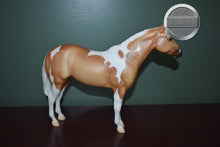 Load image into Gallery viewer, Palomino Paint Lady Phase-Short Tail Version-Lady Phase Mold-Breyer Traditional