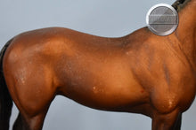 Load image into Gallery viewer, Bay on the Jet Run Mold-Breyer Classic