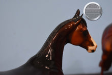 Load image into Gallery viewer, DAH ISH-Banded Mane-Glossy-ISH-Peter Stone