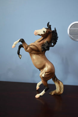 Silver Dun Sabino Treasure Hunt-Silver Mold-Breyer Traditional