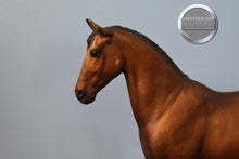 Load image into Gallery viewer, Bay on the Jet Run Mold-Breyer Classic