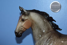 Load image into Gallery viewer, Versailles-Breyerfest Exclusive-Wixom Mold-Breyer Traditional
