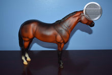 Load image into Gallery viewer, Quarter Horse-Short Tail Version-Lady Phase Mold-Breyer Traditional