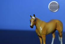 Load image into Gallery viewer, Palomino-Stockhorse Chip Mold-Peter Stone Chip