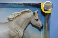 Load image into Gallery viewer, Ashton-TSC Exclusive-Loping Quarter Horse Mold-New in Box-Breyer Traditional