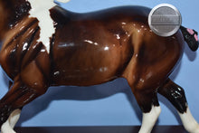 Load image into Gallery viewer, Autumn Shimmer-Wixom Mold-Breyer Traditional