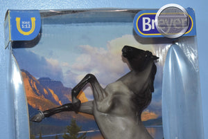 American Dream-Blue Roan Mustang-New in Box-Breyer Classic
