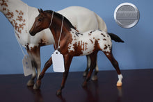 Load image into Gallery viewer, Surrey and Axle #3-Breyerfest Exclusive-Lady Phase and Action Stock Foal Mold-Breyer Traditional