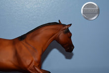 Load image into Gallery viewer, Scamper-Original on the Mold-Breyer Classic
