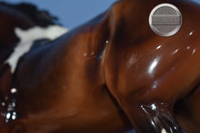 Load image into Gallery viewer, Autumn Shimmer-Wixom Mold-Breyer Traditional