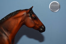 Load image into Gallery viewer, Quarter Horse-Short Tail Version-Lady Phase Mold-Breyer Traditional