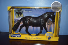 Load image into Gallery viewer, Trooper-Cleveland Bey Mold-New in Box-Breyer Traditional