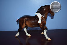 Load image into Gallery viewer, Autumn Shimmer-Wixom Mold-Breyer Traditional