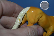 Load image into Gallery viewer, Palomino-Stockhorse Chip Mold-Peter Stone Chip