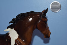 Load image into Gallery viewer, Autumn Shimmer-Wixom Mold-Breyer Traditional