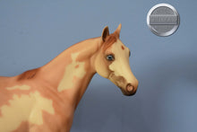Load image into Gallery viewer, O&#39;Malley-Matte-FCM ISH-Peter Stone