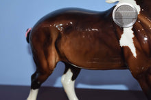 Load image into Gallery viewer, Autumn Shimmer-Wixom Mold-Breyer Traditional