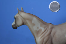 Load image into Gallery viewer, O&#39;Malley-Matte-FCM ISH-Peter Stone