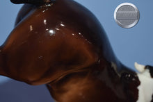 Load image into Gallery viewer, Autumn Shimmer-Wixom Mold-Breyer Traditional