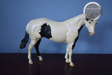 Load image into Gallery viewer, Atahri-LE of 35-FCM Ideal Stock Horse-Peter Stone