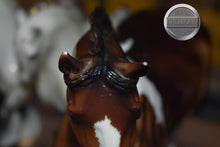 Load image into Gallery viewer, Autumn Shimmer-Wixom Mold-Breyer Traditional