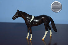 Load image into Gallery viewer, Brown/Black Pinto Schylling-Thoroughbred Chip-Peter Stone Chip