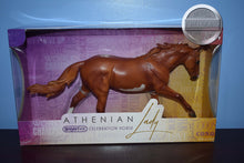 Load image into Gallery viewer, Athenian Lady-Breyerfest Exclusive-Australian Stock Horse Mold-New in Box-Breyer Traditional