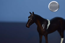 Load image into Gallery viewer, Brown/Black Pinto Schylling-Thoroughbred Chip-Peter Stone Chip
