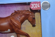 Load image into Gallery viewer, Athenian Lady-Breyerfest Exclusive-Australian Stock Horse Mold-New in Box-Breyer Traditional
