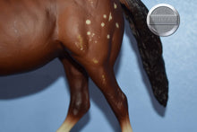 Load image into Gallery viewer, Goin for Approval-Stock Horse Mare Mold-Breyer Traditional