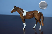 Load image into Gallery viewer, Chestnut Tobiano-Stockhorse Chip Mold-Peter Stone Chip