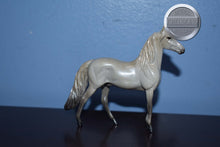 Load image into Gallery viewer, Light Grey Morgan Horse-Chip-Peter Ston