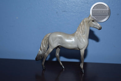 Light Grey Morgan Horse-Chip-Peter Ston