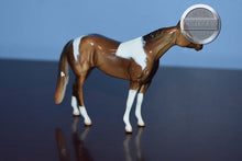 Load image into Gallery viewer, Chestnut Tobiano-Stockhorse Chip Mold-Peter Stone Chip