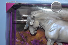 Load image into Gallery viewer, Xavier-Othello Mold-New in Box-Breyer Traditional