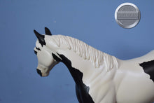 Load image into Gallery viewer, Atahri-LE of 35-FCM Ideal Stock Horse-Peter Stone