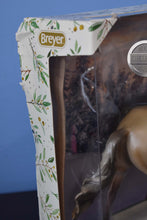 Load image into Gallery viewer, Highlander-Damaged Box-Holiday Exclusive-Cantering Warmblood Mold-Breyer Traditional