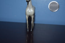 Load image into Gallery viewer, Light Grey Morgan Horse-Chip-Peter Ston