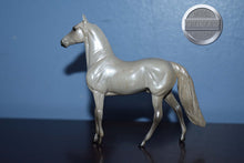 Load image into Gallery viewer, Light Grey Morgan Horse-Chip-Peter Ston
