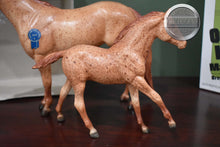 Load image into Gallery viewer, Bailey and Rosie-Vintage Club Exclusive-Lady Phase and Action Foal Mold-Breyer Traditional
