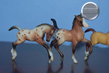 Load image into Gallery viewer, Lot of 5 Stablemate Foals-Breyer Stablemate