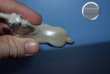 Load image into Gallery viewer, Light Grey Morgan Horse-Chip-Peter Ston