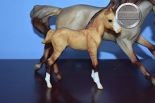 Load image into Gallery viewer, Zephyr and Sundance-Walmart Mustangs Set-Breyer Classic