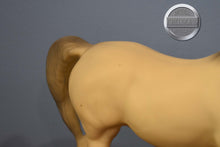 Load image into Gallery viewer, Alabaster Proud Arabian Mare-Proud Arabian Mare Mold-Breyer Traditional